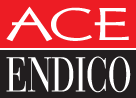 Ace Endico Corporation