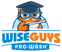 WiseGuys Pro-Wash, LLC